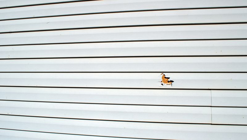 Final Inspection of Repaired Siding