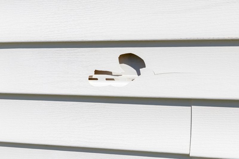 Vinyl Siding Crack Fix